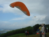 img0097.jpg