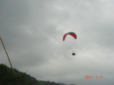 img0133.jpg