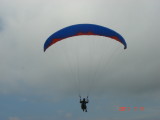 img0136.jpg