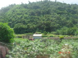img0169.jpg