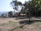 img0007.jpg