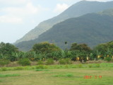 img0018.jpg
