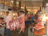 img0003.jpg