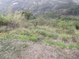 img0022.jpg