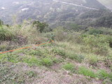 img0023.jpg