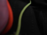 img0005.jpg