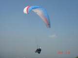 img0010.jpg