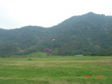 img0035.jpg