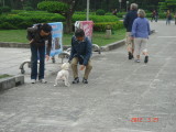 img0028.jpg