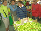 img0018.jpg