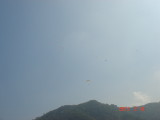 img0010.jpg
