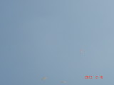 img0012.jpg