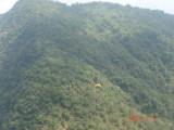 img0065.jpg
