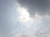 img0089.jpg