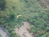 img0095.jpg