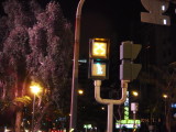 img0105.jpg