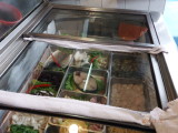 img0127.jpg