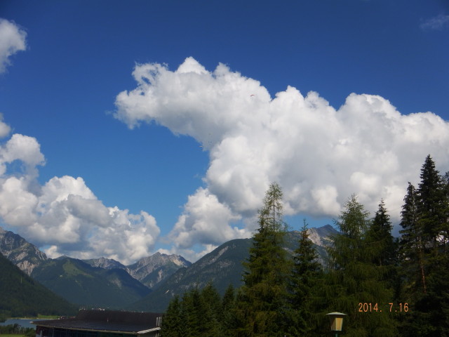 img0060.jpg