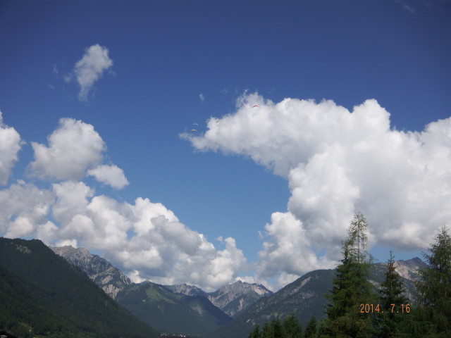 img0061.jpg