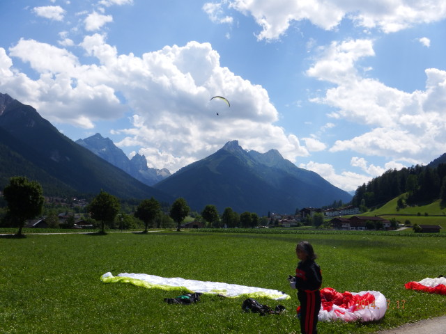 img0153.jpg