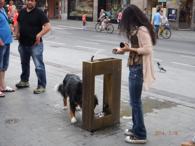 img0175.jpg