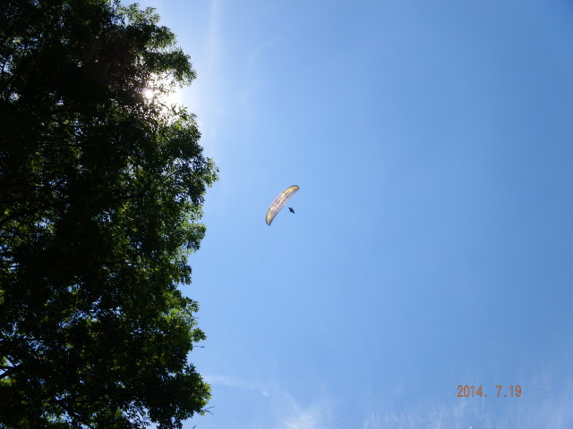 img0236.jpg