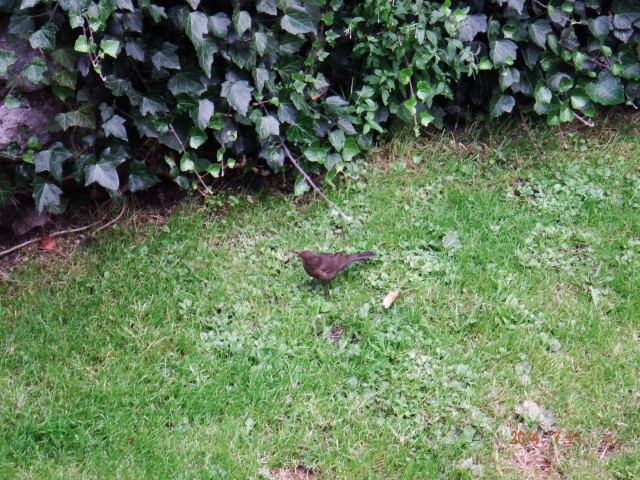 img0304.jpg