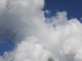 img0059.jpg