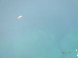 img0114.jpg