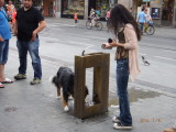 img0175.jpg