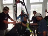 img0188.jpg