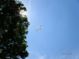 img0236.jpg