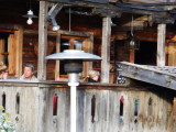 img0249.jpg