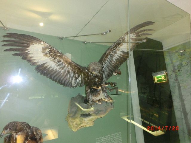img0195.jpg
