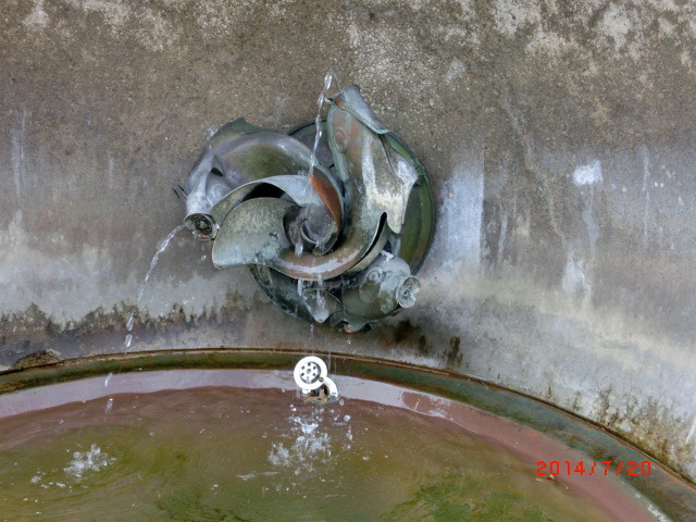 img0229.jpg