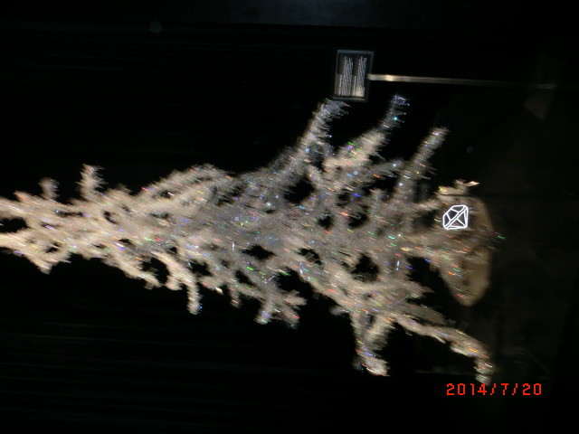 img0242.jpg