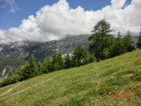 img0010.jpg