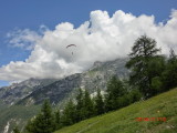 img0016.jpg