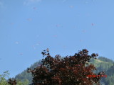 img0152.jpg