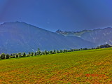 img0158.jpg