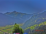 img0161.jpg