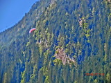 img0167.jpg