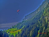 img0168.jpg