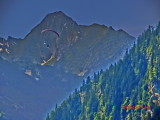 img0169.jpg