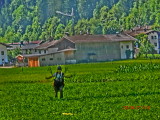 img0172.jpg