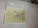 img0192.jpg