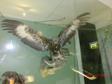 img0195.jpg