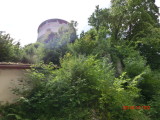 img0203.jpg