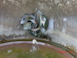 img0229.jpg