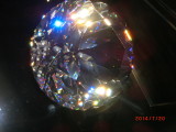 img0239.jpg